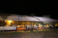 Serengeti Wildebeest Camps