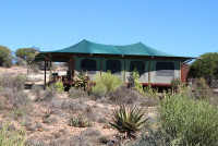Buffelsdrift Game Lodge