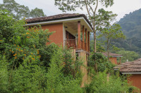 Four Gorillas Lodge