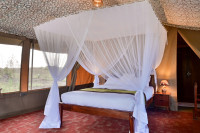 Mtito Safari Camp