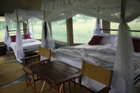 Osero Serengeti Tented Camp