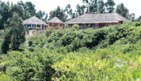 Ethio German Park Hotel