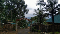 EAR Ken Barham Guest House Budget guest house less than 1hr drive from Nyungwe NP (Chimps) – All Meals Included