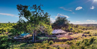 Deteema Springs
