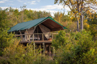 Deteema Springs