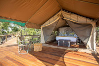 Deteema Springs
