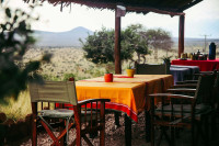 Soroi Cheetah Tented Camp