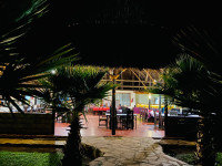 Mara Sweet Acacia Lodge
