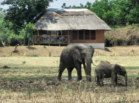 Mopani Safari Lodge Mid-range lodge bordering South Luangwa NP without fences – Day 1: Lunch & Dinner Included – Day 2-3: All Meals Included +4 Photos +3 Photos
