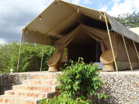 Oseki Maasai Mara Camp Budget tented camp just outside Masai Mara NR – Day 1: Lunch & Dinner Included – Day 2: All Meals Included +58 Photos +57 Photos