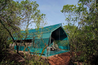 Olkinyei Mara Tented Camp