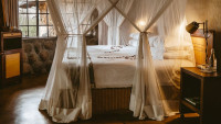 Geiger's Camp