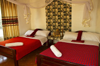 Euphorbia Safari Lodge