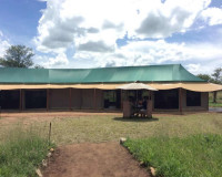 Safari View Luxury Camp