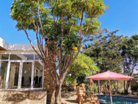 Guesthouse Terra Africa Mid-range guest house in Windhoek (City, Namibia) – Meals at Own Expense +8 Photos +7 Photos