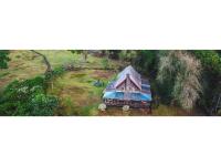 Castle Forest Lodge