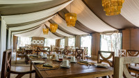 The Singing Grass Bush Camp