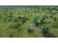 Golden Safari Camps
