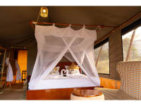 Golden Safari Camps