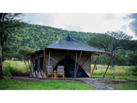 Golden Safari Camps