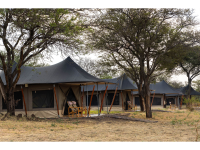 Golden Safari Camps