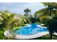 Gorillas Lake Kivu Hotel