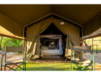 Urban Camp - Explorer's Delight