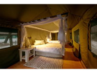 Urban Camp - Explorer's Delight
