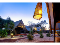 Urban Camp - Explorer's Delight