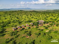 Zebra Safari Lodge