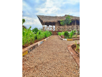 Kilimanjaro Cottages Amboseli Budget lodge less than 1hr drive from Amboseli NP – Lunch & Dinner Included +2 Photos
