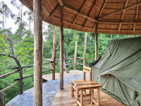 Chimpanzee Capital Safari Lodge Budget lodge just outside Kibale NP (Chimps) – Day 1: Lunch & Dinner Included – Day 2: All Meals Included +7 Photos +6 Photos