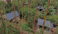 Kibale Chimps Villas Lodge