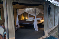 Canopy Migration Camp