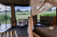 Canopy Migration Camp
