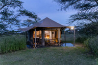 Canopy Migration Camp
