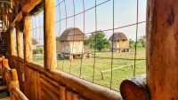 Songbird Safari Lodge Budget lodge just outside Queen Elizabeth NP – All Meals Included +2 Photos