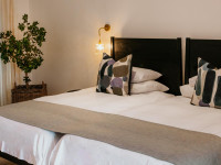 Fancy Fritz Suites