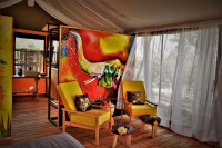 Serengeti Queens Camp