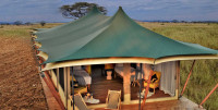 Serengeti Queens Camp
