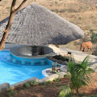 Lion Hill Lodge