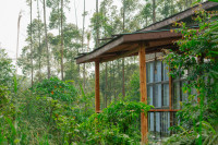 Bweza Kibale Lodge