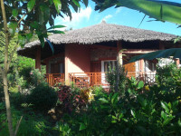 Zara Village