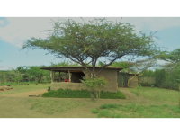 Tepesua Cultural Eco Camp