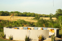Zebra River Camp