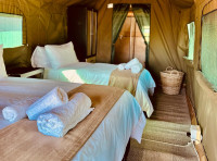 Tlou Tented Safari Camp
