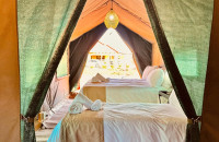 Tlou Tented Safari Camp