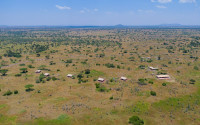 Tamu Tamu Tented Camp