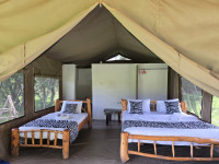 Wild Nest Mara Camp