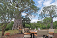 The Whisper Tarangire Camp